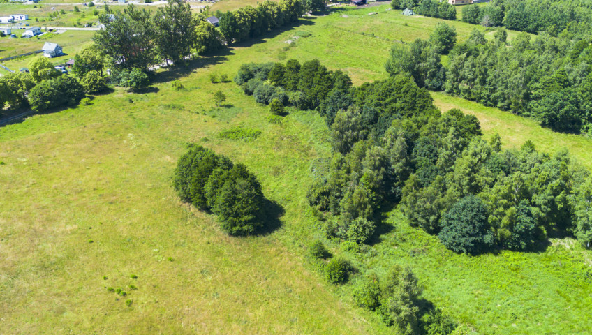 Działka Sprzedaż Kołczewo Osadników Wojskowych